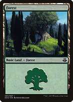 Floresta — Duel Decks: Elspeth vs. Kiora 63