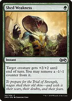 Eliminar Fraqueza — Ultimate Masters 181