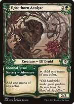 Acólita Rosespina // Ritual Sazonal — Throne of Eldraine 300