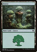 Floresta — Dominaria United 274
