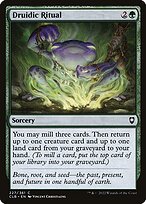 Ritual Druídico