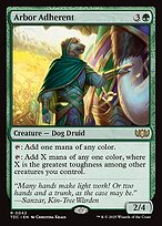 Arbor Adherent — Tarkir: Dragonstorm Commander 42