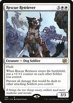 Cão de Salvamento
