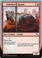 Common Iguana — Unstable 79