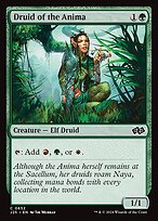Druida de Anima