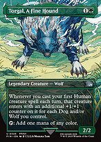 Torgal, A Fine Hound — Final Fantasy 345