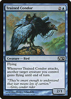 Condor Treinado — Magic 2014 76
