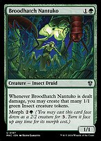 Nantuko Choca-Ninhadas