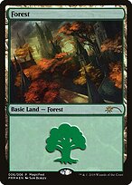 Floresta — MagicFest 2019 6