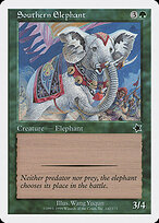 Southern Elephant — Starter 1999 142