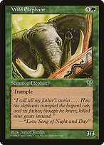 Elefante Selvagem — Mirage 254
