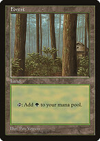 Floresta — Asia Pacific Land Program 1