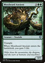 Barbamusgo Ancestral — Dominaria United 173