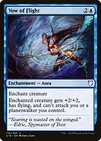 Voto de Voo — Commander 2018 110
