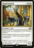Caracal Régio — Jumpstart 2022 232