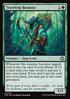 Traveling Botanist — Tarkir: Dragonstorm 164