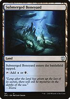 Ossário Submerso — Zendikar Rising Commander 141