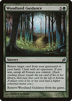 Guia da Floresta — Lorwyn 243