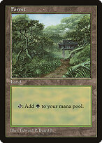 Floresta — Asia Pacific Land Program 11