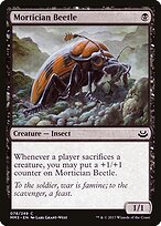 Besouro Coveiro — Modern Masters 2017 78