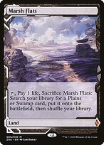 Planície Pantanosa — Zendikar Rising Expeditions 6