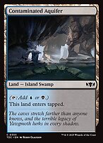 Aquífero Contaminado — Tarkir: Dragonstorm Commander 353