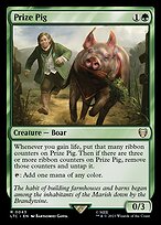 Porco de Competição