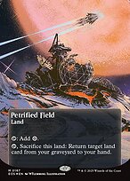 Campo Petrificado — Edge of Eternities: Stellar Sights 167