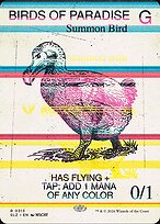 Aves do Paraíso — The Zeta Set 313