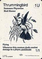 Colibri Tamborilante — The Zeta Set 32