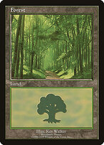 Floresta — European Land Program 6