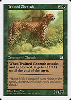 Trained Cheetah — Portal Three Kingdoms 154