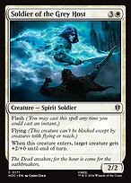Soldado da Hoste Cinzenta — The Hobbit Eternal 171
