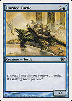 Tartaruga Marinha com Chifres — Eighth Edition 83