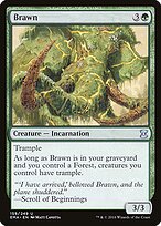 Músculos — Eternal Masters 159
