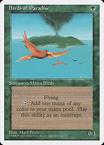 Aves do Paraíso — Fourth Edition 234