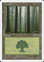 Floresta — Starter 1999 173