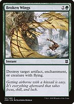 Asas Quebradas — Zendikar Rising 181