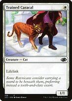 Caracal Treinado — Jumpstart 2022 256