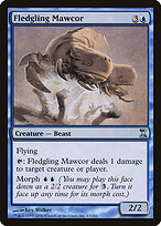 Mawcor Inexperiente — Time Spiral 63