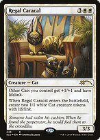 Caracal Régio — OMG KITTIES! 23