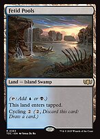 Lagoas Fétidas — Tarkir: Dragonstorm Commander 363