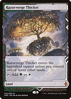 Bosque das Margens Cortantes — Zendikar Rising Expeditions 15