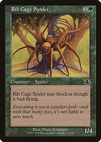 Aranha Torácica — Prophecy 121