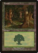 Floresta — European Land Program 11