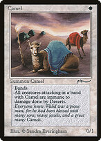 Camel — Arabian Nights 3