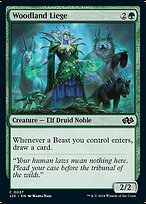 Woodland Liege — Foundations Jumpstart 27