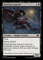 Assassina do Telhado