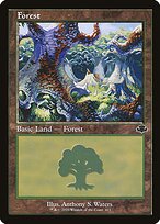 Floresta — Dominaria Remastered 411