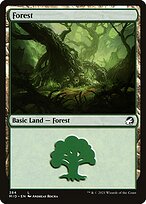Floresta — Innistrad: Midnight Hunt 384